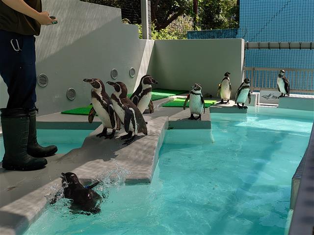 和歌山城公園動物園／和歌山市