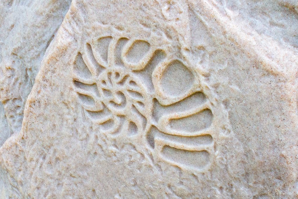 ボルダリング遊具の化石をイメージしたあしらい/彩都はなだ公園(大阪府/茨木市)