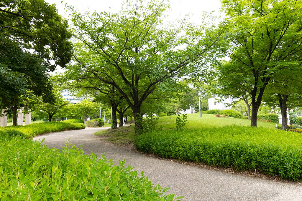 遊歩道/扇町公園(大阪府/大阪市)