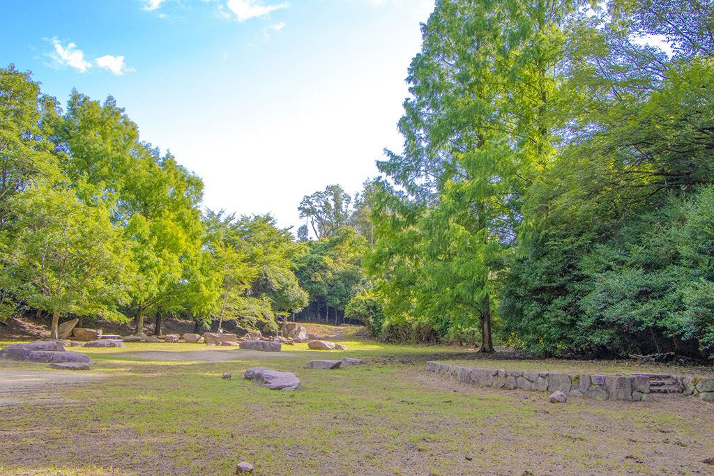 森の劇場 /大阪府民の森 むろいけ園地 森の宝島(大阪府/四条畷市)