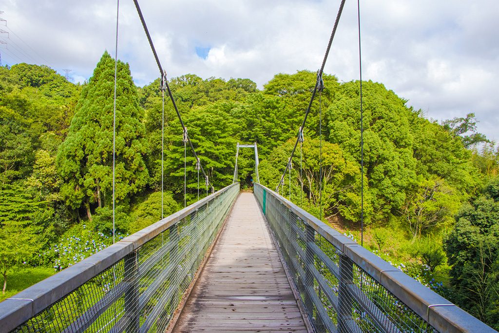 吊橋/大阪府民の森 むろいけ園地 森の宝島(大阪府/四条畷市)