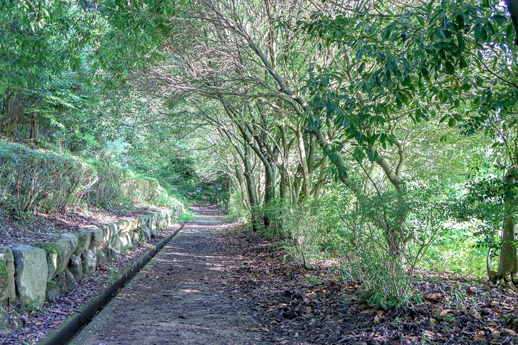 大阪府民の森 むろいけ園地 森の宝島(大阪府/四条畷市)