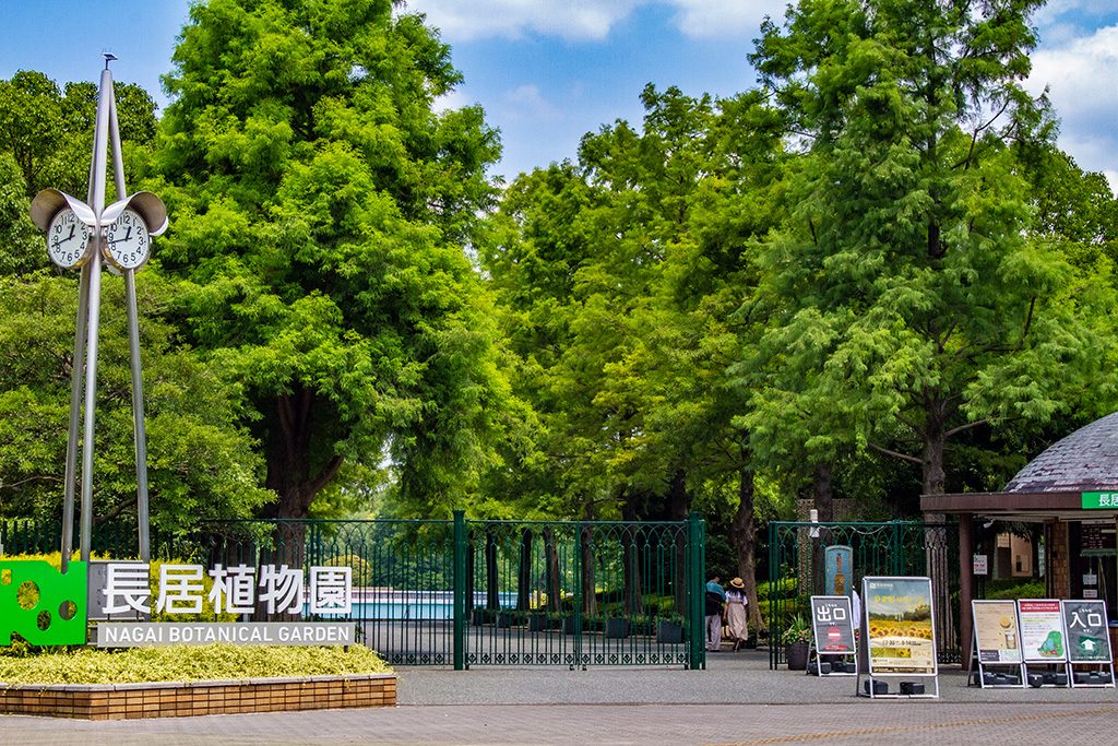 長居植物園/長居公園(大阪府/大阪市)
