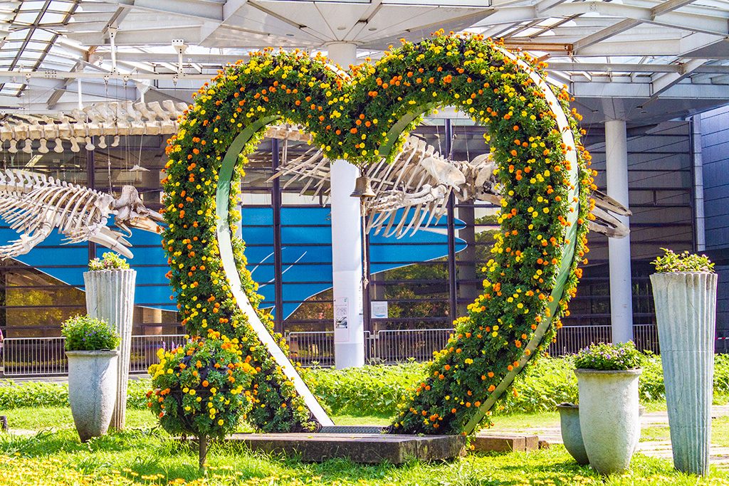 ハートの花壇/長居公園(大阪府/大阪市)