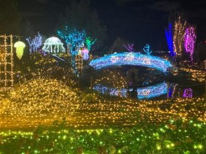 関西のイルミネーション22選（2024-2025）テーマパークや公園が子連れにおすすめ