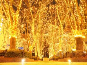 東北のイルミネーション15選（2025-2026）入園無料の公園など子連れにおすすめ