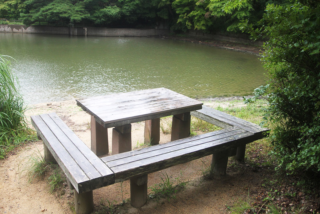 修法ヶ原池のすぐそばにあるベンチ/再度公園（兵庫県/神戸市）