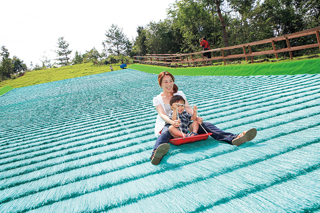 芝すべり/滋賀農業公園ブルーメの丘(滋賀県/日野町)