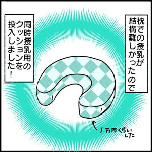 私が双子を妊娠するなんて！〜漫画でレポート 驚きだらけの双子妊娠〜 その43