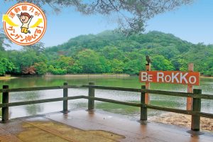 再度公園(神戸市北区)は、自然いっぱいの都市公園 森の運動場で遊ぼう!