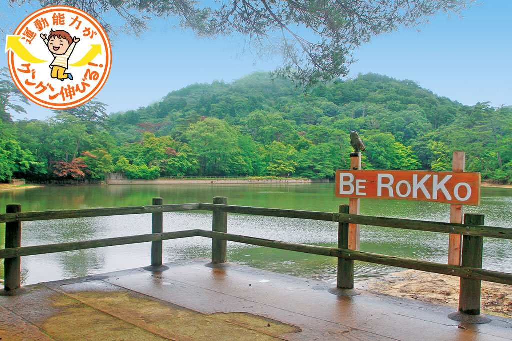 再度公園（神戸市北区）は、自然いっぱいの都市公園　森の運動場で遊ぼう！