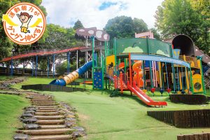 大型複合遊具が楽しい石ケ谷公園(明石市)は、バーベキューや3歳からのポニー乗馬体験もあり!