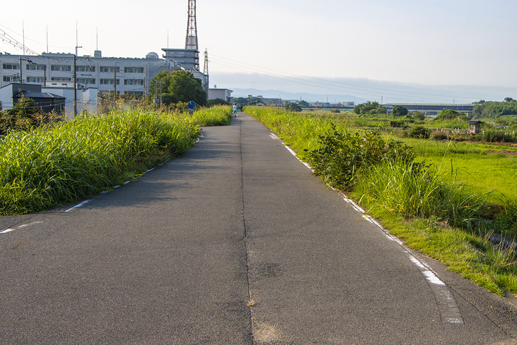 公園横の土手/笠井公園(京都府/京都市)
