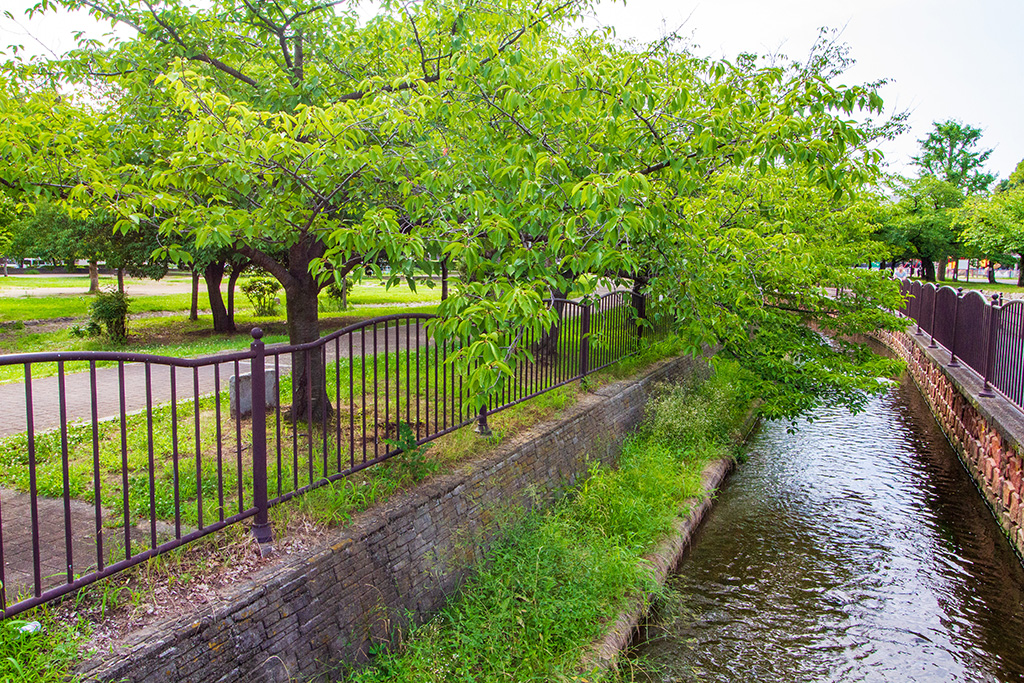 長瀬川/金岡公園（大阪府/東大阪市）
