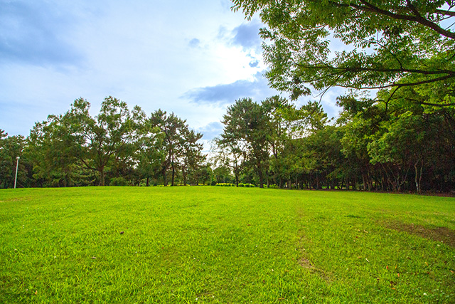 芝生広場/久宝寺緑地(大阪府/八尾市)