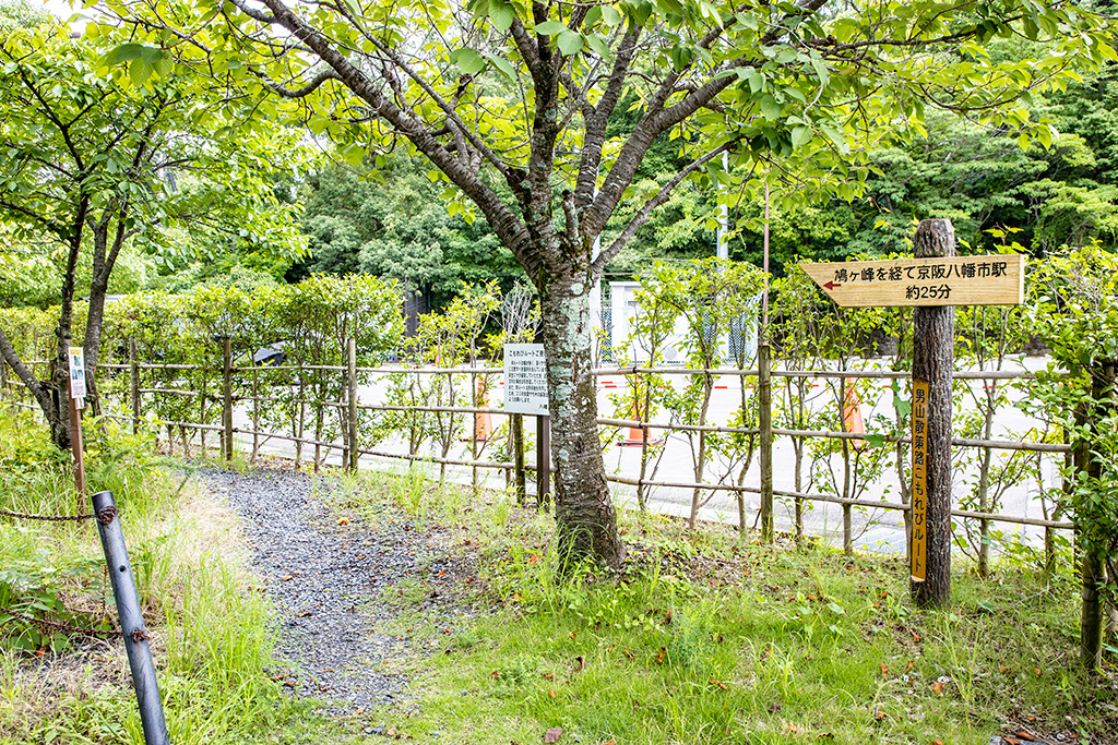 男山散策路こもれびルート/男山レクリエーションセンター(京都府/八幡市)