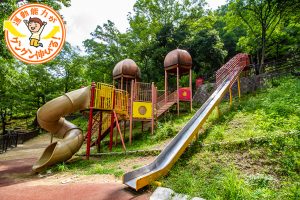 自然豊かな枚岡公園(東大阪市)には、2つの山にまたがった起伏を活かした遊具がたくさん!