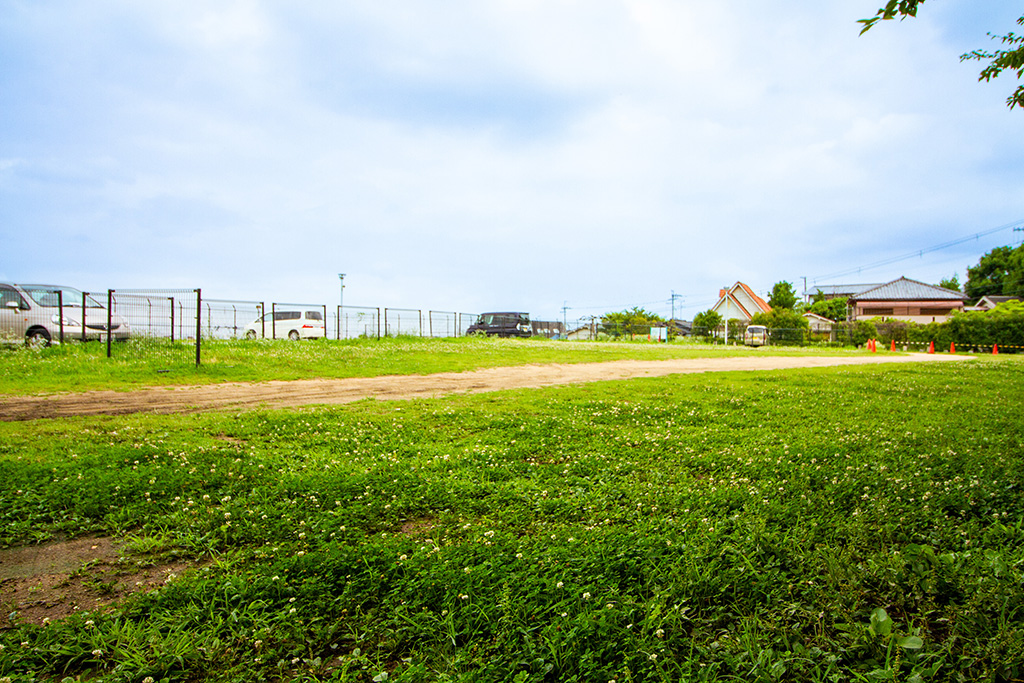 芝生広場/自然豊かな枚岡公園(大阪府/東大阪市)