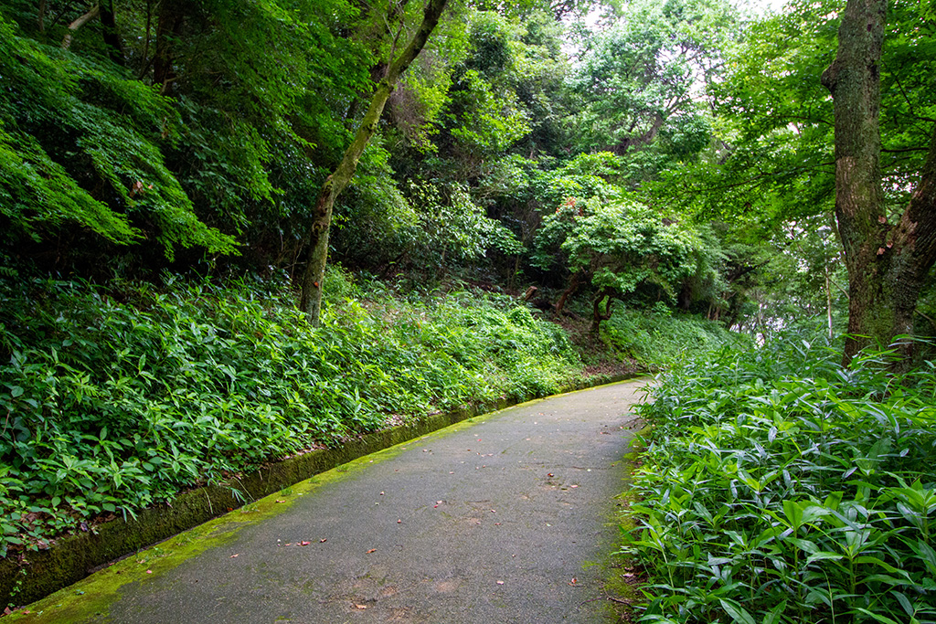 散策路/自然豊かな枚岡公園(大阪府/東大阪市)