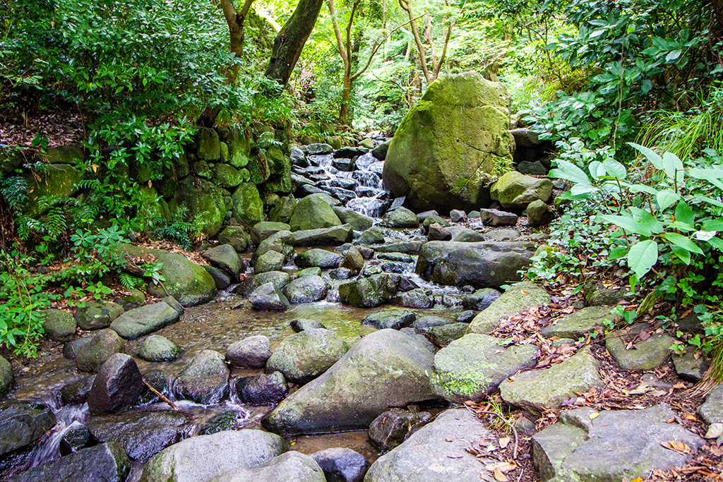 川/自然豊かな枚岡公園(大阪府/東大阪市)