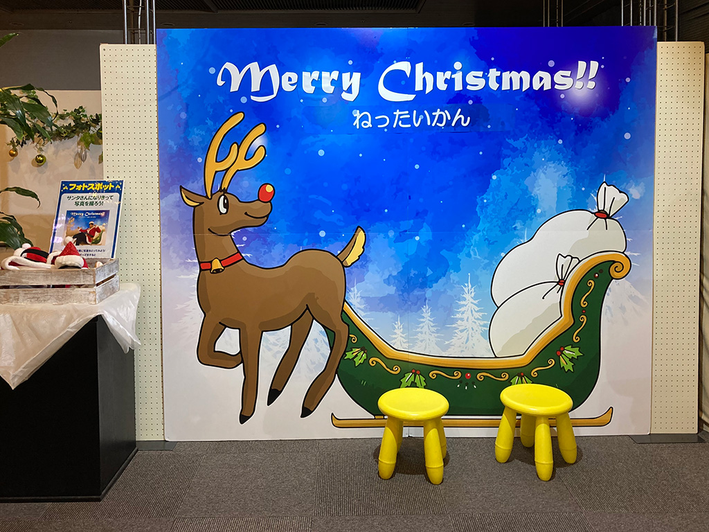 クリスマスフォトスポット/板橋区立熱帯環境植物館(東京都)