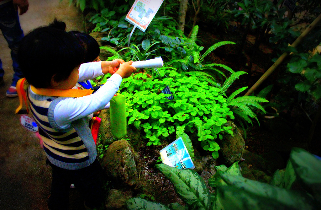 特別プログラム「トワイライト ジャングル探検」/板橋区立熱帯環境植物館(東京都)
