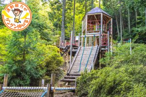 アクトパル宇治(宇治市)は大自然を生かした大型遊具が魅力!アグレッシブに楽しもう♪