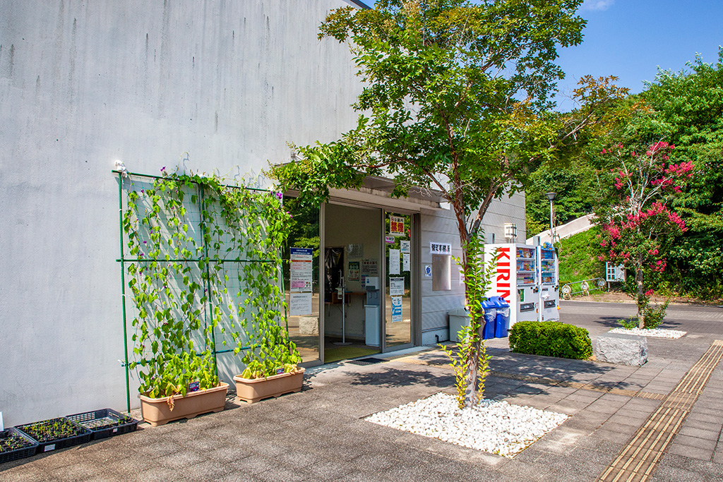 /永楽ゆめの森公園（大阪府/熊取町）