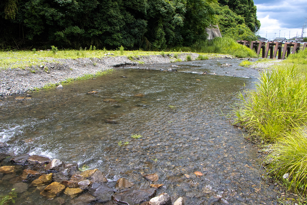 川遊び /玉川さくら公園（京都府/井手町）