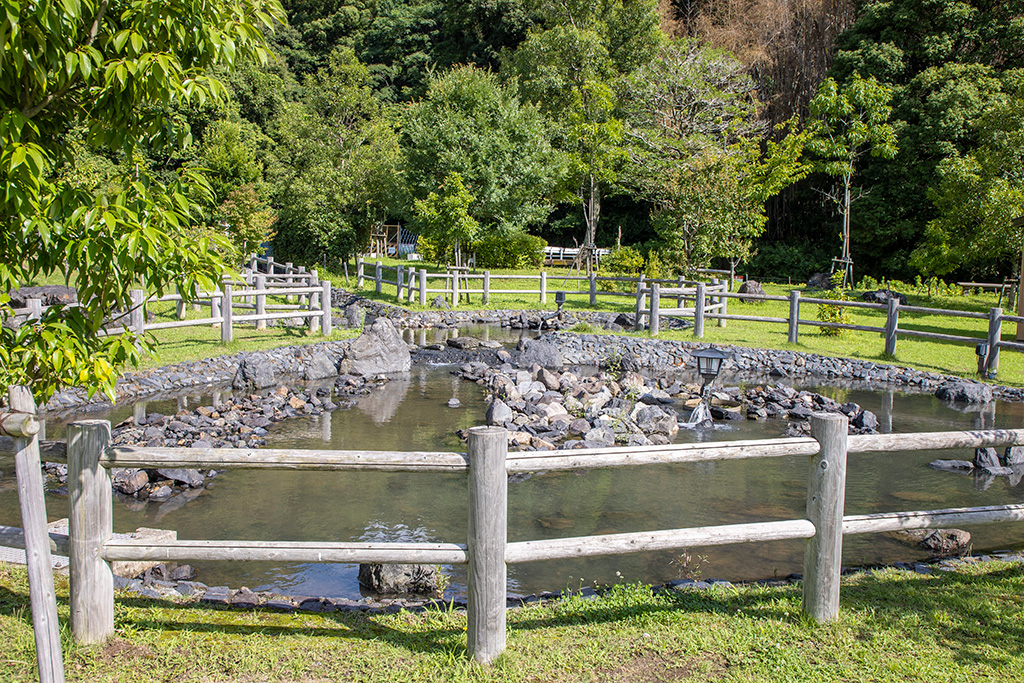 ホタル広場/西代里山公園（京都府/長岡京市）