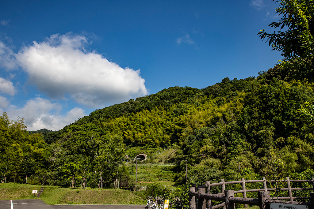 西代里山公園（京都府/長岡京市）