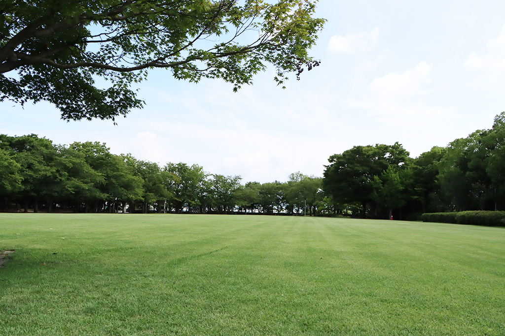 芝生広場 /京都府立洛西浄化センター公園（長岡京市）