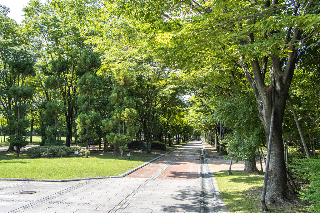 遊歩道/京都府立洛西浄化センター公園（長岡京市）