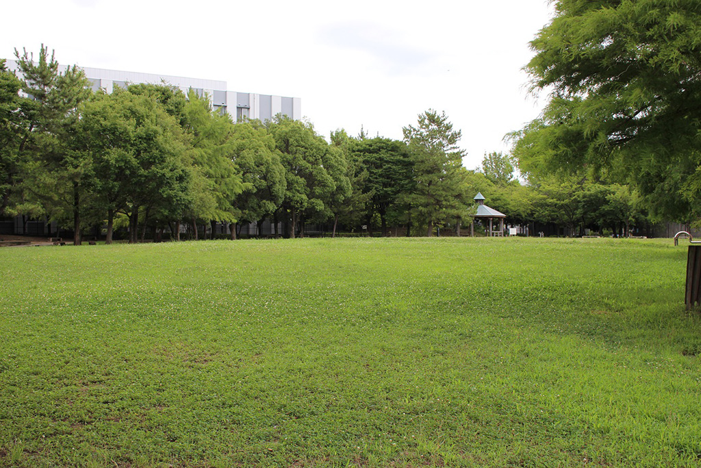 芝生広場/十六名公園(兵庫県/伊丹市)