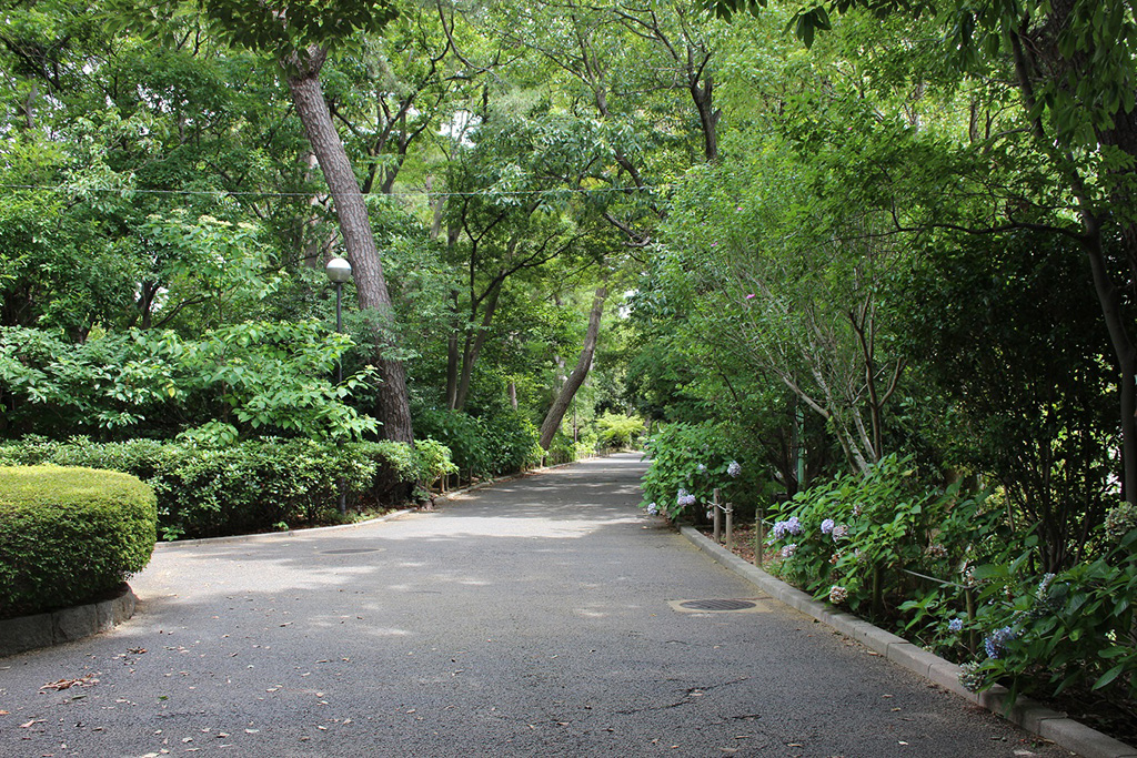 ウォーキングコース/昆陽池公園（兵庫県/伊丹市）