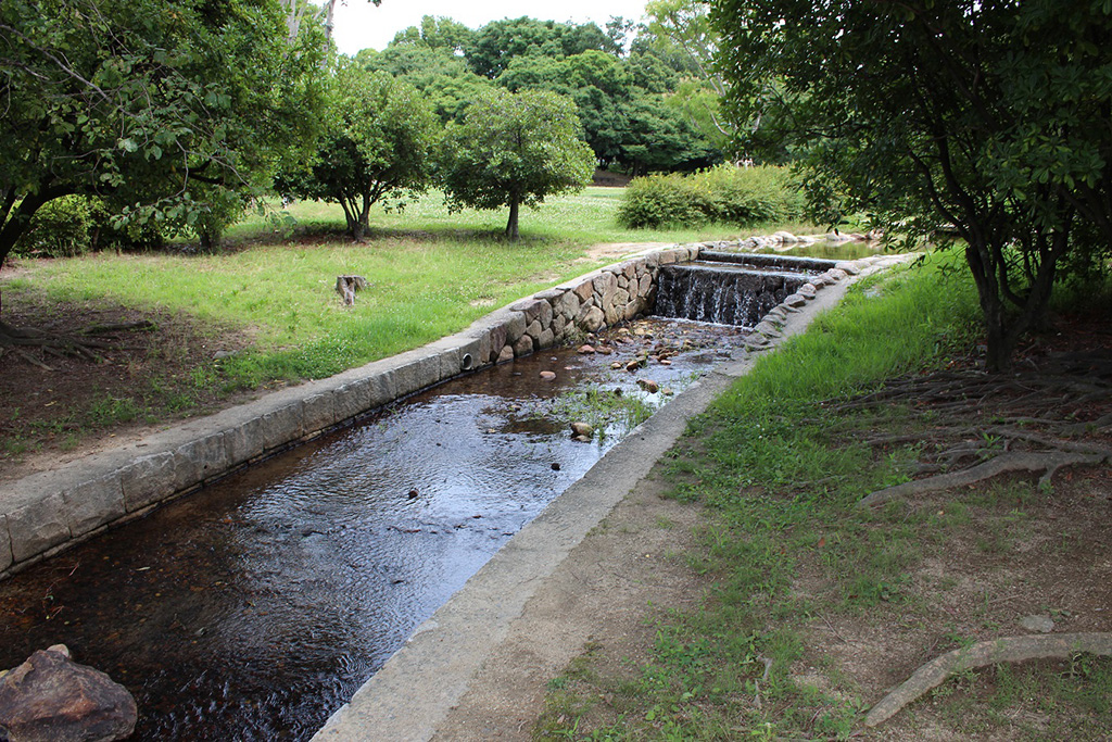 小さなせせらぎ/昆陽池公園（兵庫県/伊丹市）
