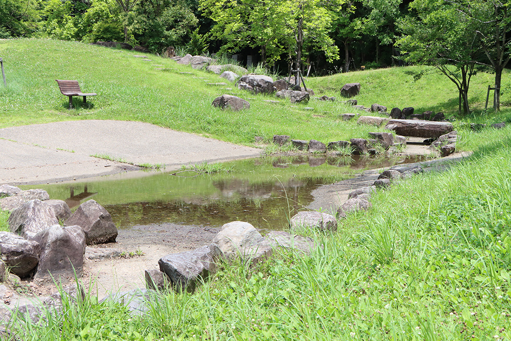 小川/LOGOS LAND(京都府/城陽市)