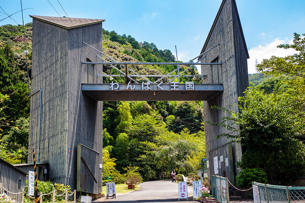 わんぱく王国（大阪府/阪南市）