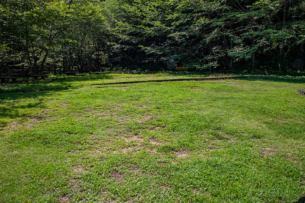 芝生広場/わんぱく王国（大阪府/阪南市）