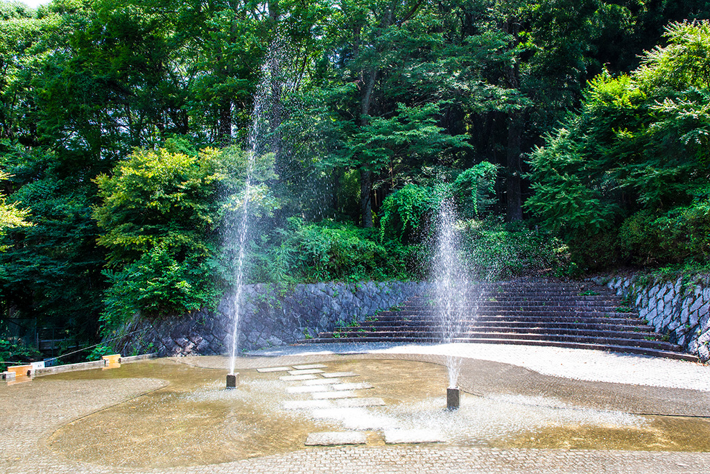 水辺の広場/わんぱく王国（大阪府/阪南市）