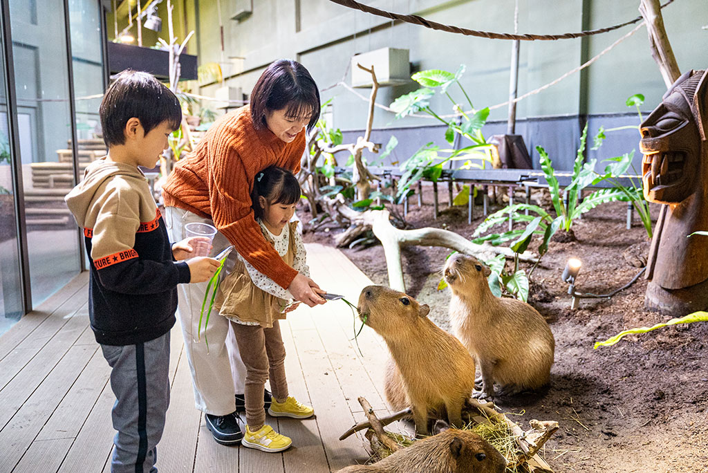 カワスイ 川崎水族館【神奈川県/川崎市】