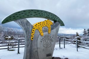旭山動物園の冬の見どころ・イベントは？ペンギンの散歩や雪の似合う動物9選など