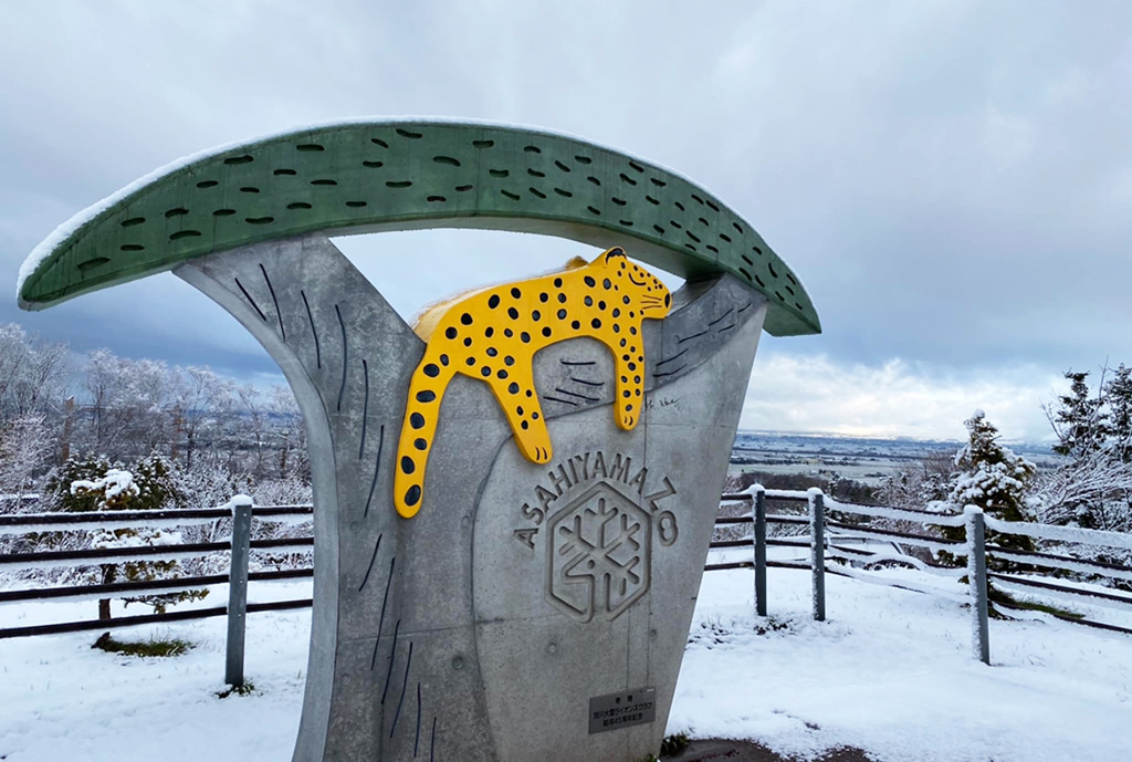 旭山動物園の冬の見どころ・イベントは？ペンギンの散歩や雪の似合う動物9選など