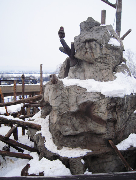 雪が積もる「さる山」/旭川市旭山動物園（北海道）