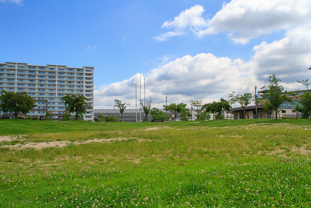 芝生広場/西河原公園 （大阪府/茨木市）