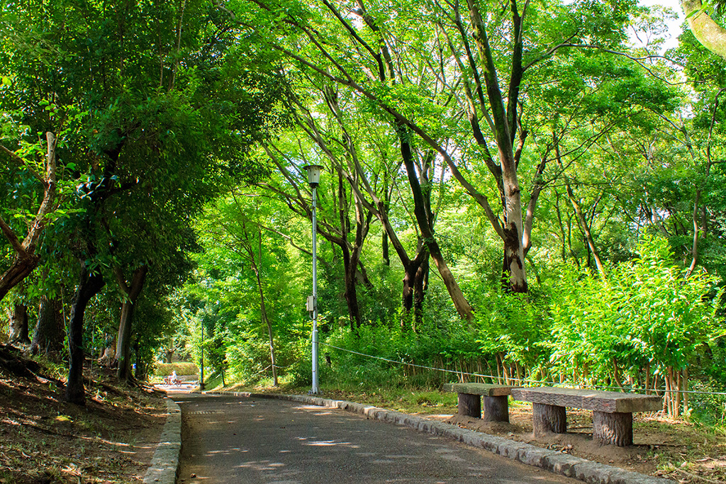 遊歩道/西河原公園 （大阪府/茨木市）