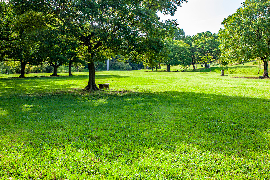 芝生広場/蜻蛉池公園（大阪府/岸和田市）