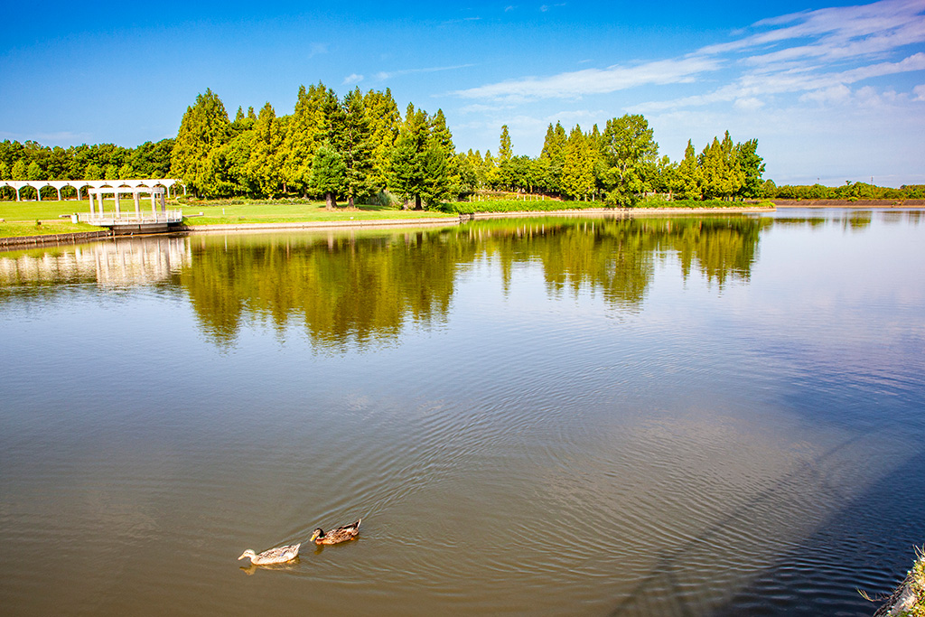 大池/蜻蛉池公園（大阪府/岸和田市）