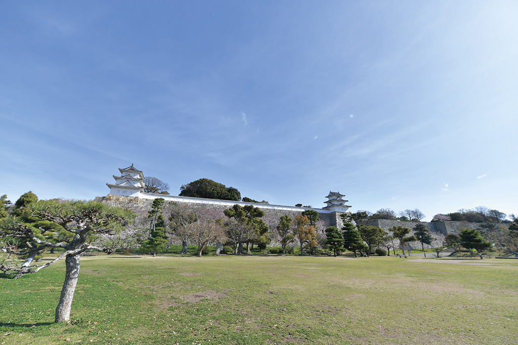 芝生広場/明石公園（兵庫県/明石市）