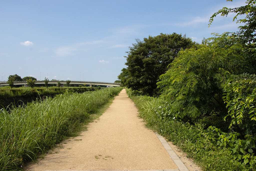 河川敷/火打形公園（京都府/京都市）